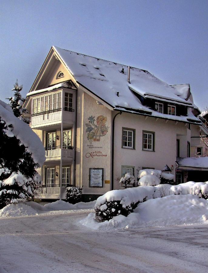 Villa Katharina Penthouse Wohnung Willingen  Exterior photo